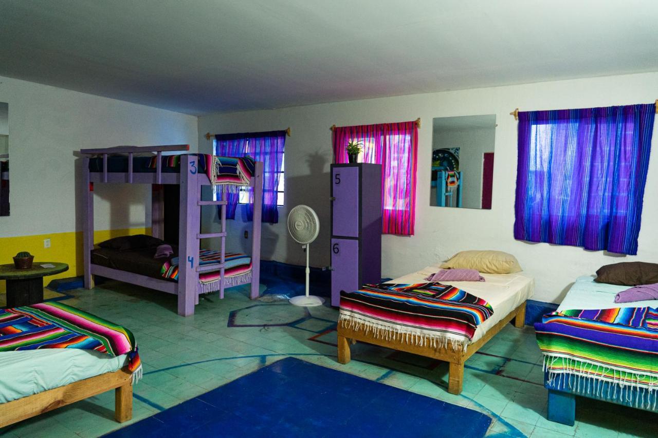 Hostal Chesal San Luis Potosi Exterior photo