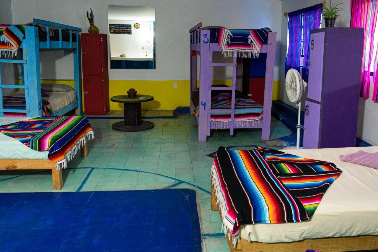 Hostal Chesal San Luis Potosi Exterior photo
