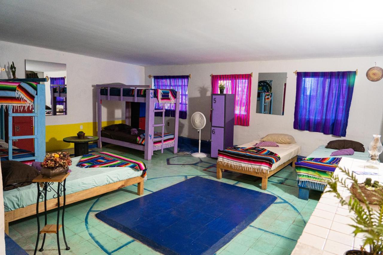 Hostal Chesal San Luis Potosi Exterior photo