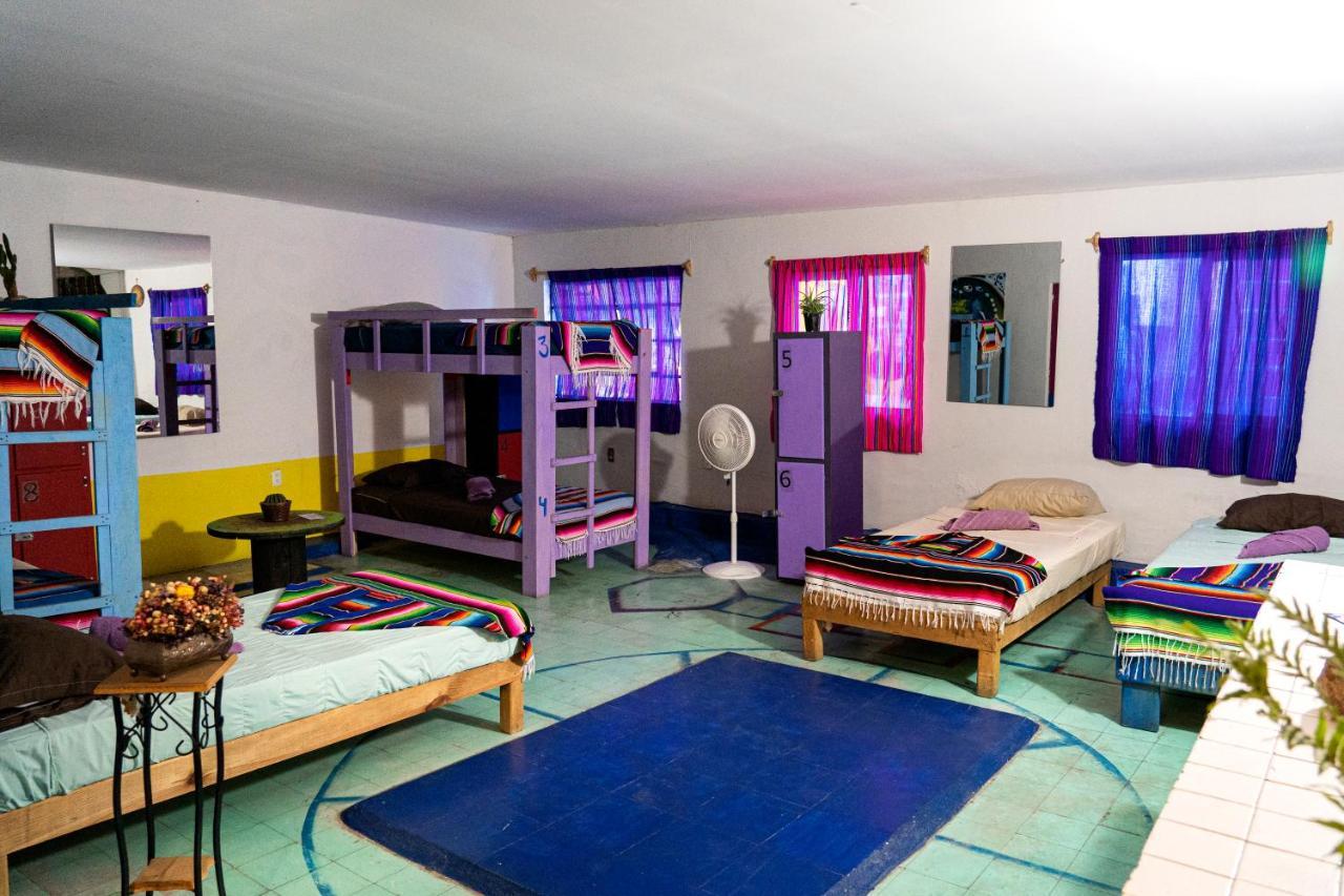 Hostal Chesal San Luis Potosi Exterior photo